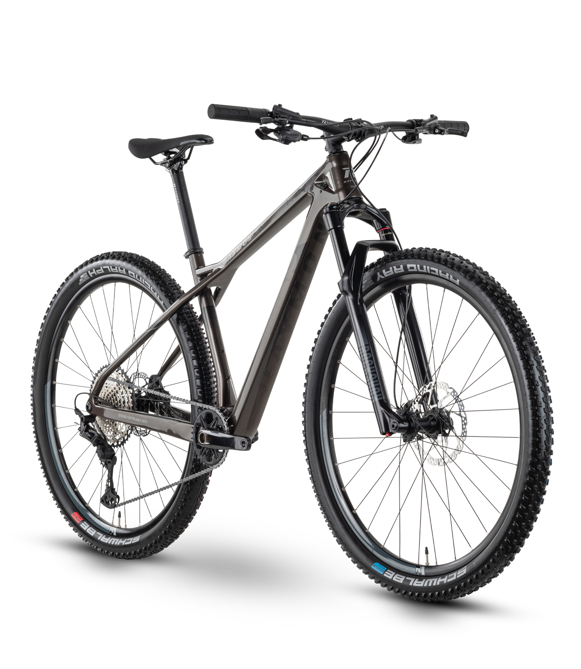 Slika Rraymon HardRay 8.0 2022 - stone met/black - 29"/622mm