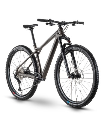 Slika Rraymon HardRay 8.0 2022 - stone met/black - 29"/622mm