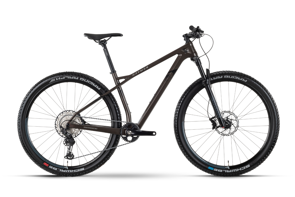 Slika Rraymon HardRay 8.0 2022 - stone met/black - 29"/622mm