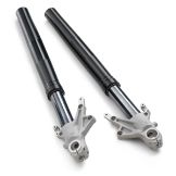Slika FACTORY FORK 990