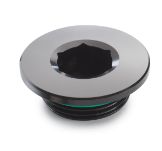 Slika Ignition cover plug