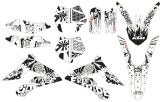 Slika GRAPHIC KIT FREERIDE