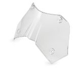 Slika Windshield, low