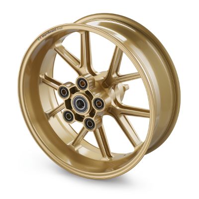 Slika REAR WHEEL MAGNESIUM6,0X17