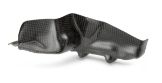 Slika CFK ENGINE PROTECTOR RIGHT