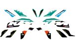 Slika Graphickit ''''Race''''