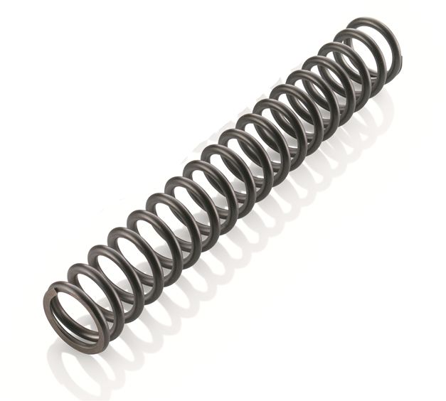 Slika Mainspring (43,8) 200-325 fork