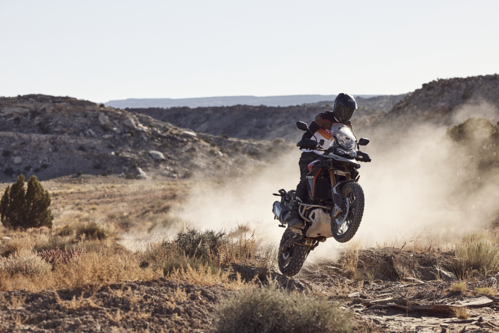 Tiger-900-Rally-Pro