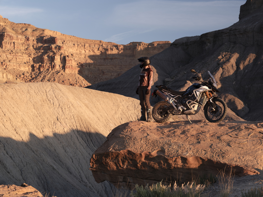 Tiger-900-Rally-Pro