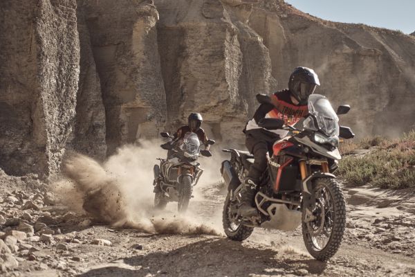 Picture of Linija Triumph Tiger 900 2024