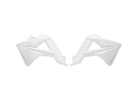 50981
