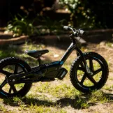 Slika STACYC 16eDRIVE BRUSHLESS